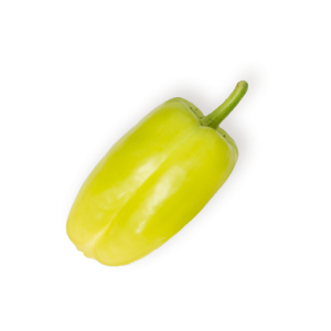 Sapcicum